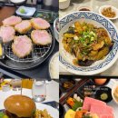 테이크잇플레이스 | 신사역맛집 리스트 - 직딩이 점심에 가본 찐 후기(키세카츠, 삼창교자, 보코호텔, 우니도, 피그닉, 타코...