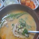 아지매소머리곰탕 | (내돈내산) 서산 읍내동 출장 저녁으로 든든했던 부산아지매국밥 아 이런곳도 있더라! 리뷰 잘촘하작