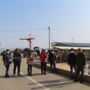 볼음도저어새생태마을 | 소나무 숲과 기암괴석의 갯바위가 어우러진 볼음도길 - 강화나들길 13코스