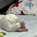 원일로 45번길 네이버블로그