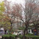 애오개역 4번 출구 앞 이미지