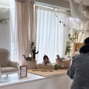 증미역 3번출구 | 증미역 아기사진관 추천｜제이부스튜디오 성장앨범 촬영 후기 (내돈내산)