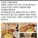 요리왕 이미지