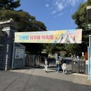 꿈바당도서관 | 제주 10월 축제 꿈바당 어린이 도서관 개관 7주년기념 제주어책축제 다녀온 후기
