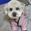 무브멍트 네이버블로그