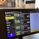 불패양꼬치 이미지
