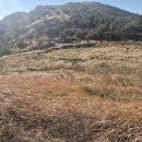 싱싱커피 | 제주 송악산 코스 추천: 호떡과 커피, 그리고 싱싱한 해산물까지