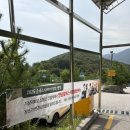 오디세이 | 2025 울주오디세이 공연 후기 | 자전거탄풍경 홍경민 린 황가람