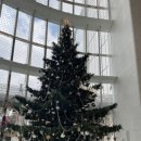 광명서울안과의원 이미지