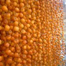 고석농장 이미지