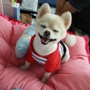 행복한아이유치원 이미지