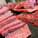 버섯농장칼국수수제비잔치 이미지