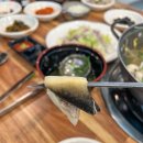 신참면
