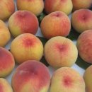 금봉농장 이미지