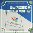 서천특화시장 | 충남 서천 가볼만한곳 서천 수산물 특화시장 :: 굴 회포장 추천