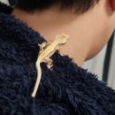 깜크