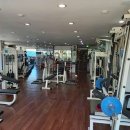 스타헬스 이미지