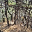 성치산 이미지