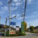 덕소 승마클럽 이미지