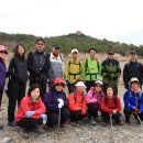 이영목장 이미지