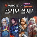 매직드래곤