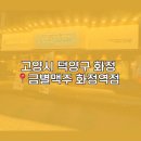 도미노피자화정점 | 생맥주 맛집 금별맥주 화정역점 솔직후기 (한줄평,메뉴판,가격,베이컨치즈피자 사진, 명란크림새우...