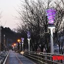 홍천강변_2 이미지