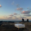 카페에서 인생샷을? 제주도 카페면 가능! 인생샷 가능한 제주도 카페3 이미지