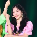 채원 이미지