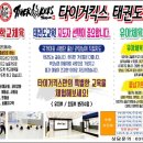 타이거킥스태권도장 네이버블로그