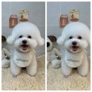 몽아뜨 이미지