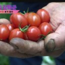 강화섬푸드 이미지
