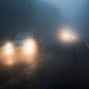 안개로가로수 이미지