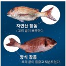 장흥상회