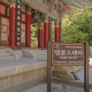 지축동 흥국사길 이미지