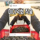 1번지해물찜 | 오독오독 바다향 폭발! 손질 끝난 달빛도마 진동 미더덕회 파격 특가 쟁여두기