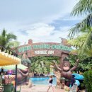 정도카라이프 | 베트남 푸꾸옥 아이와 가족여행 혼똔섬, 케이블카 워터파크 가격 후기