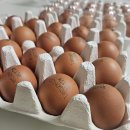 우리계란마트 | 마트 계란 끊었어요, 난각번호 1번 계란 40구 20,800원 후기