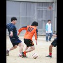 화정남초교 이미지