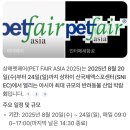 대구 펫 택시 | 중국 상해(상하이) 임비타 펫페어 후기 1편