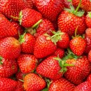 피티포유 이미지