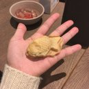 룩전자담배