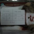 파란종합 동물병원 이미지