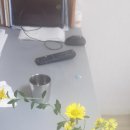CCTV다나와 Daum카페