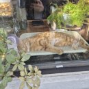 핫플레이스PC카페 | 대구 앞산 신상카페 핫플레이스 [길로이] 커피 후기