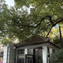 프라다 | 상하이 미샹 프라다 카페 후기｜예약 없이 즐긴 감각적인 공간