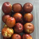 윤하농장 이미지