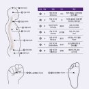 차크라