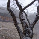 산오름공원 이미지