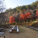 백양 관광호텔 이미지